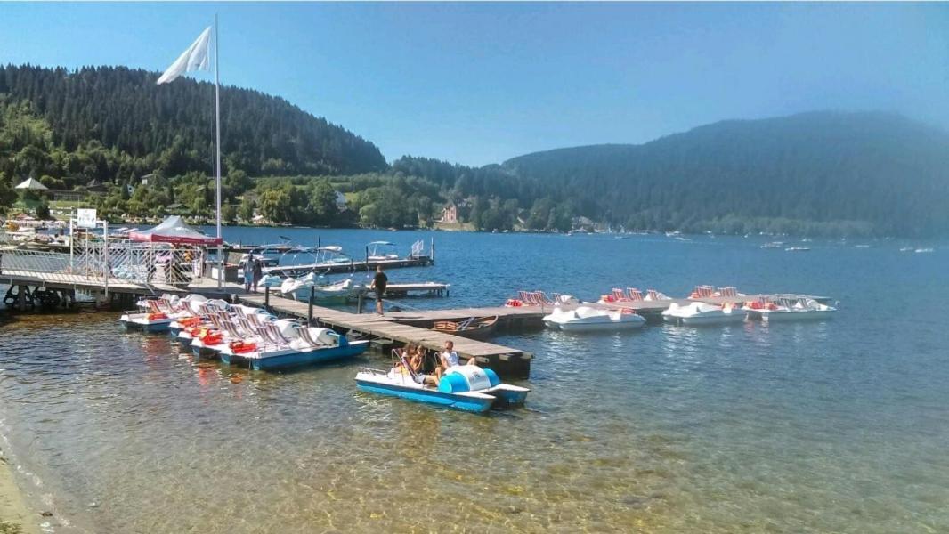 Ferienwohnung La Perle Au Bord De La Riviere Gérardmer Exterior foto