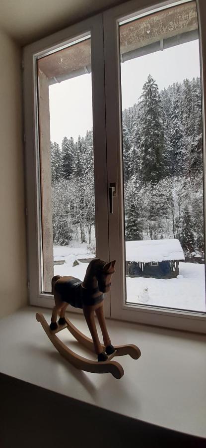 Ferienwohnung La Perle Au Bord De La Riviere Gérardmer Exterior foto